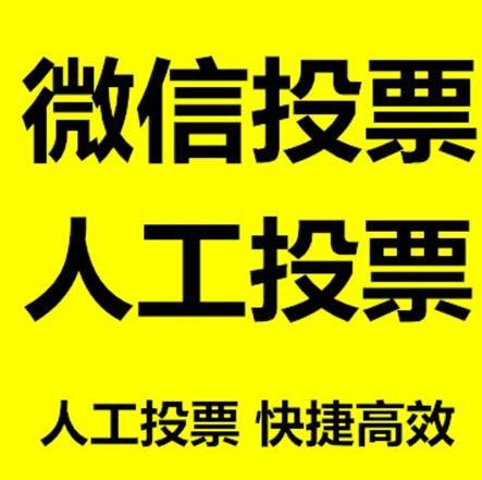 吴忠市投票活动拉票能被查出来吗？如何操作能不被发现？